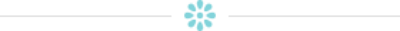 spa-divider-1